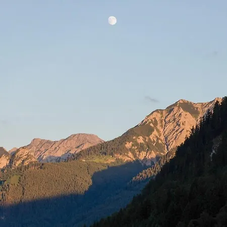 Wildgruen Mini 8a פפרונטן